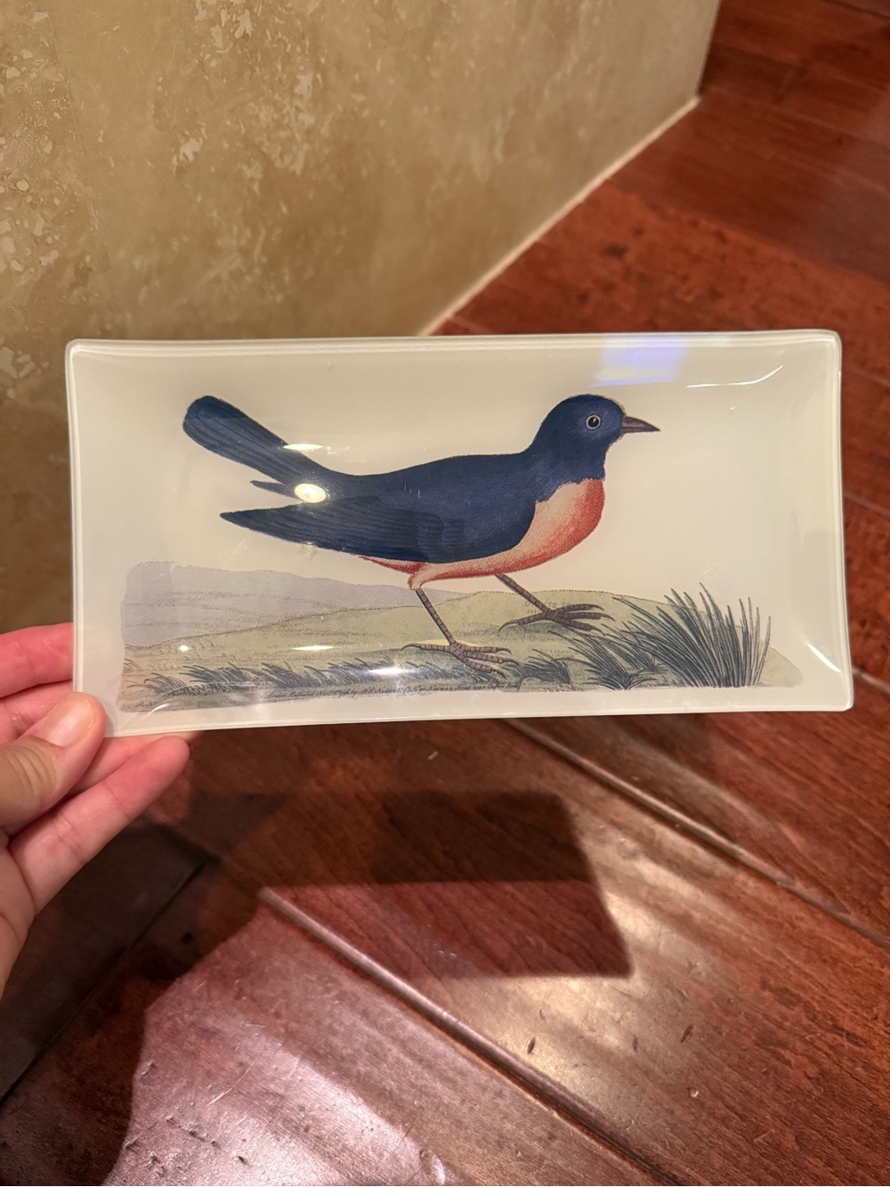 Vintage Decorative Glass Tray w/ Blue Bird Nature Scene.  9x4.5”